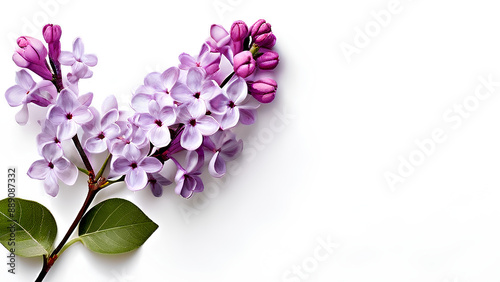 Beautiful flowers bring back memories.