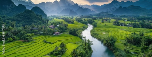 A river runs through a lush green valley with rice paddies on either side. The scene is peaceful and serene, with the sun shining through the trees and casting a warm glow over the landscape