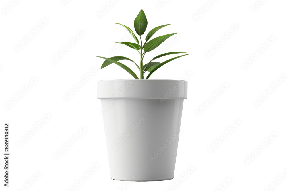 White empty flower pot isolated on transparent background White empty flower pot isolated on transparent background