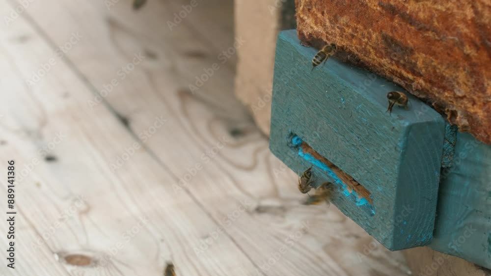 Bees gather near a swarm box, a common method for capturing a swarm of bees.