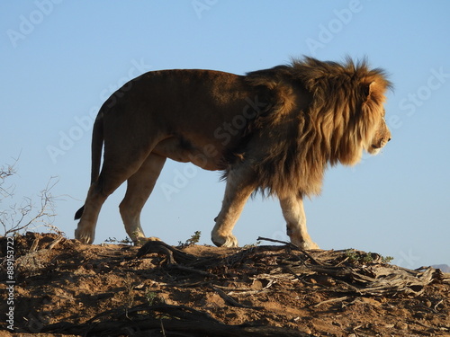 Private Game Reserve 2 