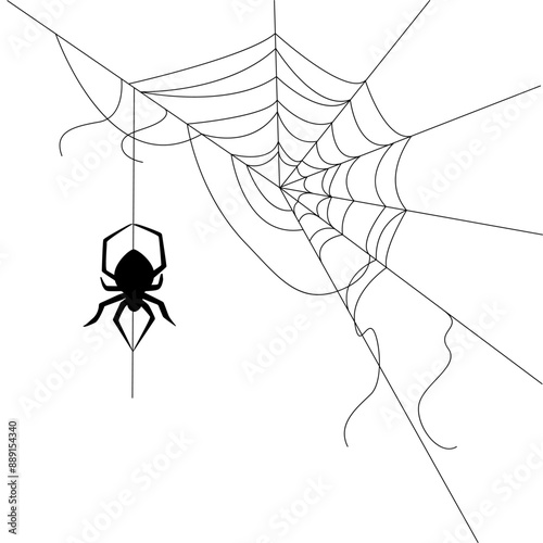 Halloween web with spider background for party. Isolated objects on a transparent background. Doodle Hand Drawn Illustration