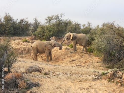 Private Game Reserve 2 