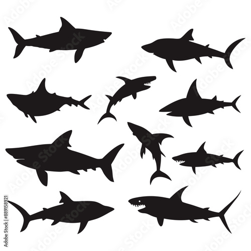 Shark silhouette vector illustration, various species of sharks, great white, hammerhead, bull shark, tiger shark, ocean predators, sea life, marine biology, underwater, fish, dangerous, carnivore