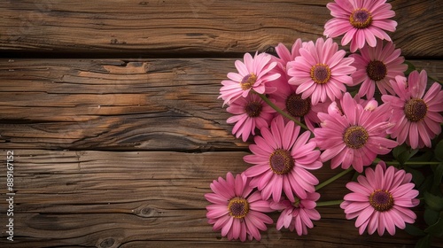 Pink daisies on wooden surface with space for text