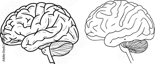 This is a single line drawing of a human brain that will help you memorize the medical clinic logo identity.