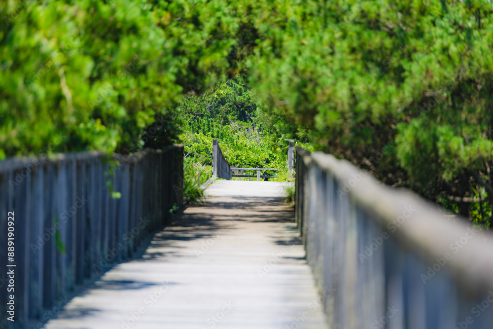 Obraz premium 鹿島灘海公園