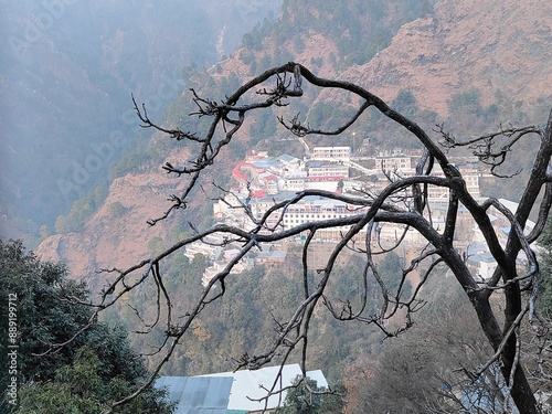 Hills of Jammu and Kashmir from barren tree photo
