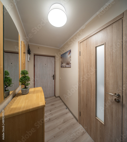 Modern flat interior, entrance, hall.