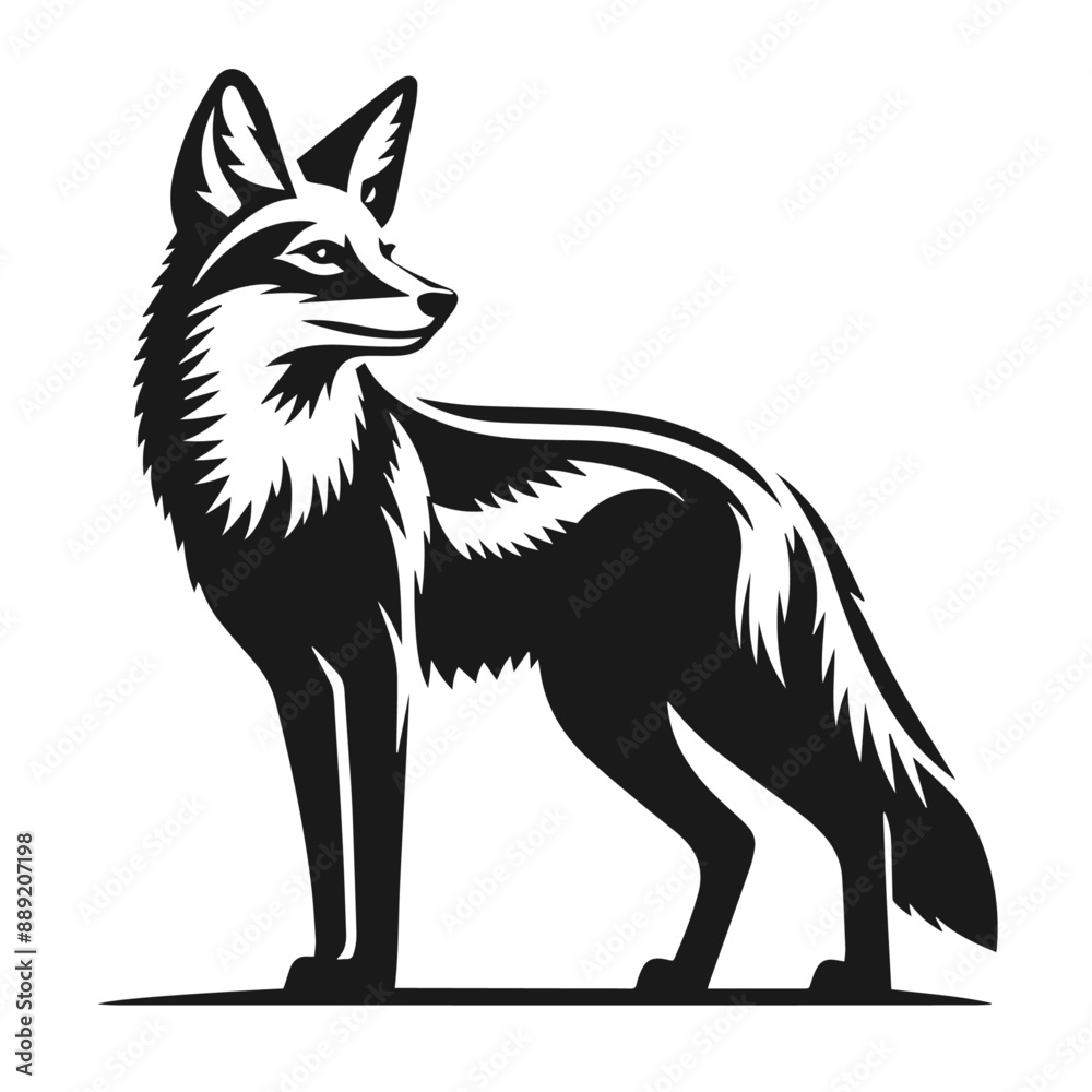 Obraz premium Clean black and white vector Silhouette of a Jackal isolated on white background