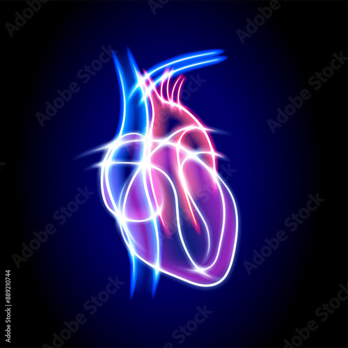 Illustration of a human heart using white curved lines glowing in various colors forming a transparent heart shape on a dark blue background.