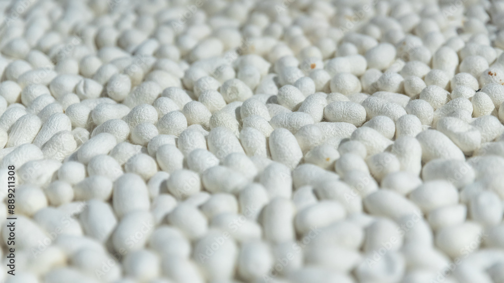 Top view of white cocoons, which are the raw material of silk fabric, textile industry background concept Top view of white cocoons, which are the raw material of silk fabric, textile industry background concept