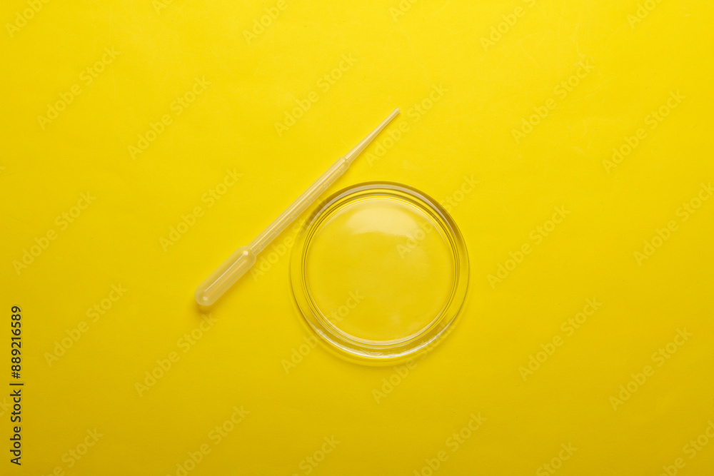 Petri dish with pipette on yellow background. Top view Petri dish with pipette on yellow background. Top view
