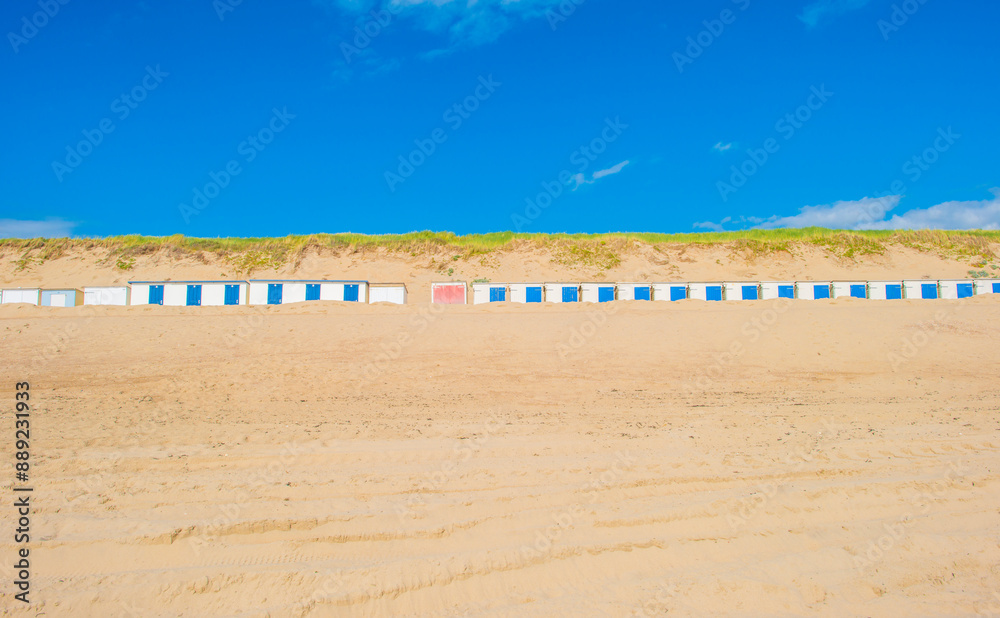 Fototapeta premium Grassy sandy dunes along sand beach and sea in a blue cloudy sky in bright sunlight in summer, Walcheren, Zeeland, the Netherlands, July, 2024
