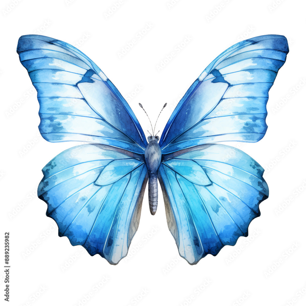 Fototapeta premium blue butterfly watercolor isolated on transparent background cutout