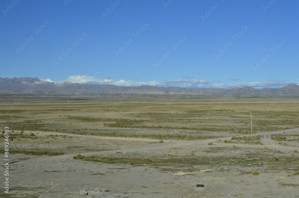 Campo com pouco verde no deserto Campo com pouco verde no deserto