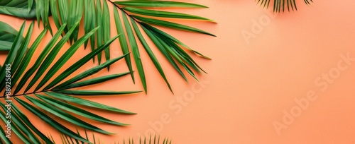 Summer coral background with copy space. Paletn colors illustration of tropical palm branches.