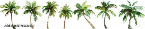Watercolor island palm trees on transparent background