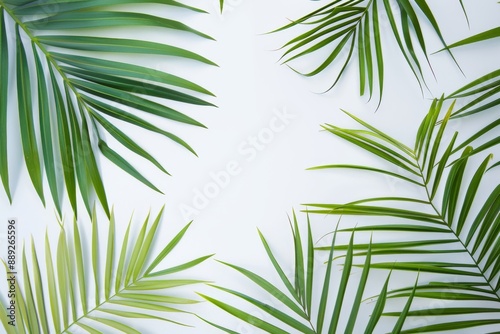 Green palm leaves on white background. Flat lay, top view