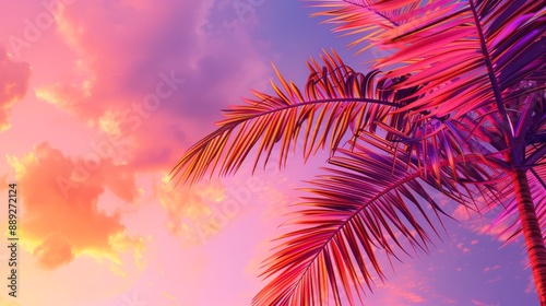 Sunset, palm trees, and a tropical summer background