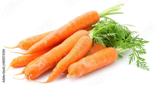 Orange Vegetable. Fresh Carrots Bunch, Organic Healthy Food Concept