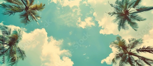 A landscape of tall palm trees against a blue sky during the day
