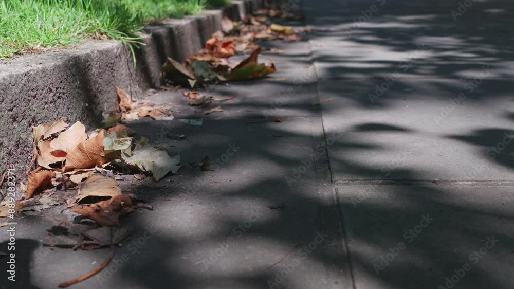 Summer City Footpath Kerbside.
Sunlight and tree shadows on an urban footpath.