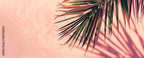 Background of a coral summer scene with copyspace. 3D illustration of a tropical palm branch in pastel colors.