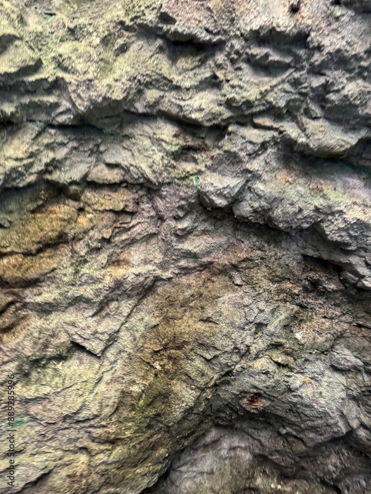 texture texture
