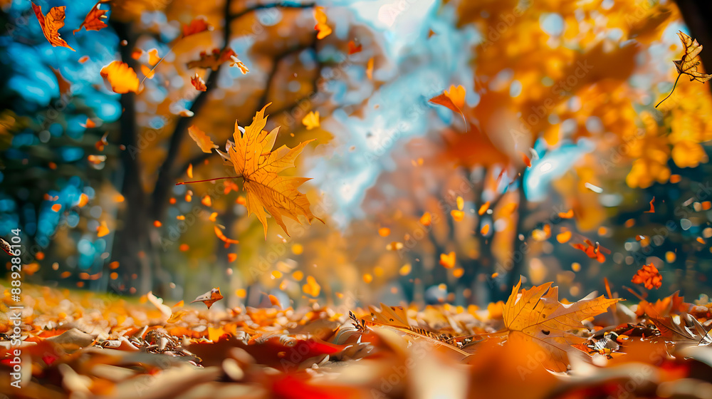 Beautiful autumn landscape with yellow trees and sun. Colorful foliage in the park. Falling leaves natural background Beautiful autumn landscape with yellow trees and sun. Colorful foliage in the park. Falling leaves natural background