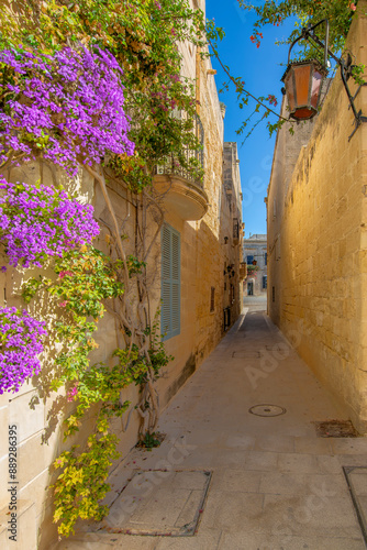 Mdina street view in Malta Island.