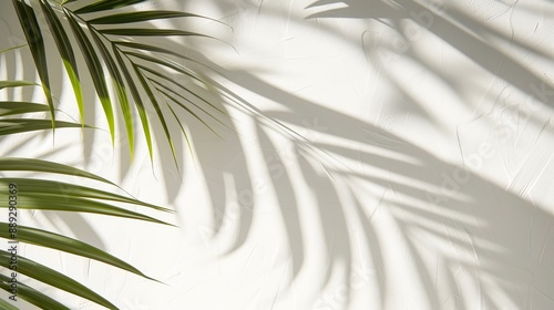 Shadows with palm leaves on a light cream wall. Beautiful minimalist summer spring background.