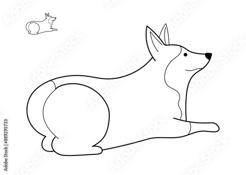 Cute little Corgi dog with chunky fluffy butt, funny pet vector illustration. Hand drawn line design isolated on white, editable stroke