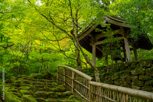 新緑のお寺風景