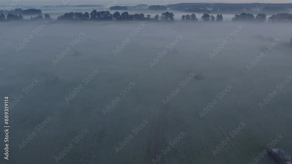 Aerial view of foggy meadow with abandoned military tanks, Sogel, Lower Saxony, Germany.