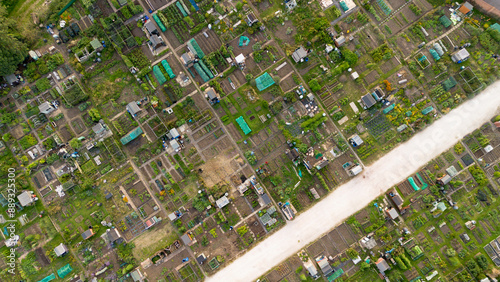 aerial view looking direcly down on a patchwork of allotments growing vegatables photo