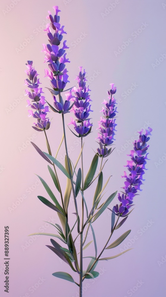 Fototapeta premium Lavender flowers in bloom, captured in an isometric view against a soft, pink background