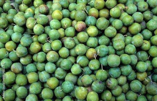 Fototapeta Naklejka Na Ścianę i Meble -  Prunus domestica 'Reine Claude' , Prunier, Prune