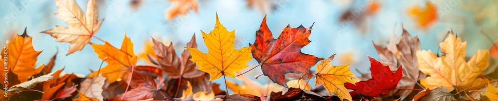 vibrant autumn leaves falling in the wind with a blue sky background - seasonal change, nature's beauty, golden yellow and red hues, autumnal foliage, falling leaves, nature photography vibrant autumn leaves falling in the wind with a blue sky background - seasonal change, nature's beauty, golden yellow and red hues, autumnal foliage, falling leaves, nature photography