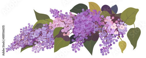 Purple lilac blossom, Vector flat minimalistic isolated illustration