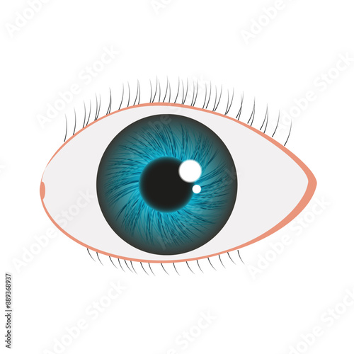 Eye iris in green blue color