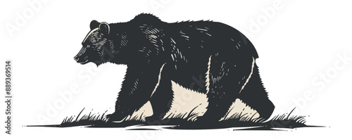 Bear | Minimalist and Simple Silhouette - Vector illustration