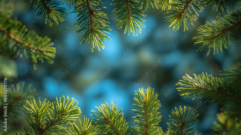 The sound of the wind blowing through the pine forest The sound of the wind blowing through the pine forest