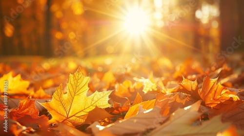 Tranquil autumn landscape path blanketed in brown, orange, and gold leaves under a clear sky