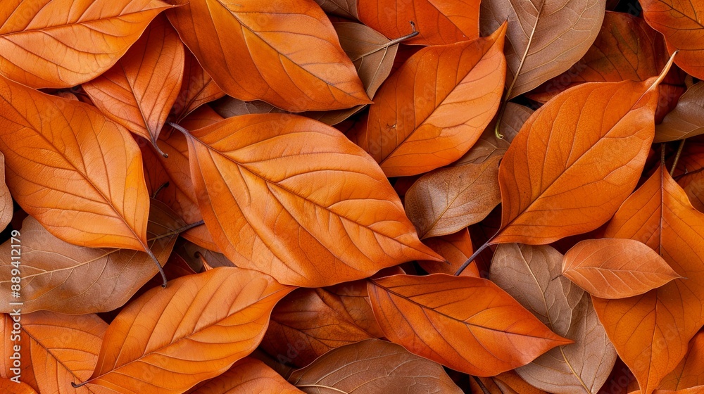 Autumn leaves texture with warm hues, ideal for seasonal greetings and nature-inspired prints. Illustrater Image, Shiny, bright, beautiful , Minimalism, Autumn leaves texture with warm hues, ideal for seasonal greetings and nature-inspired prints. Illustrater Image, Shiny, bright, beautiful , Minimalism,