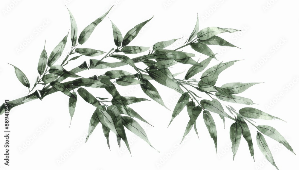 A bamboo stalk, green leaves, ink illustration, isolated on white background A bamboo stalk, green leaves, ink illustration, isolated on white background
