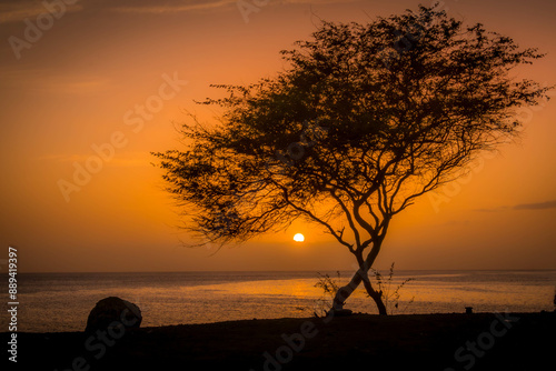 The yellow sunset at Praia, the capital of Cape Verde, with the Atlantic ocean, lonely trees, and Palmarejo beach coast on Santiago island.
 photo