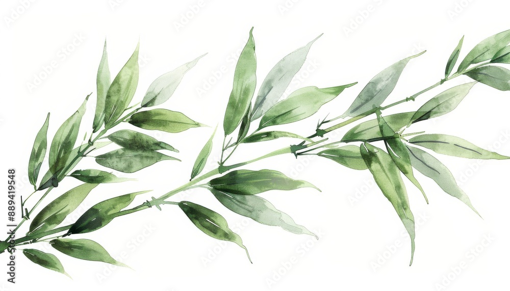 A bamboo stalk, green leaves, ink illustration, isolated on white background A bamboo stalk, green leaves, ink illustration, isolated on white background