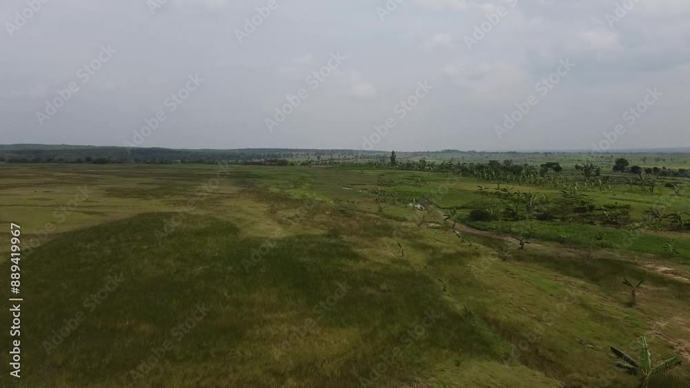 Aerial view of open grassland with scattered trees at The Kesongo mud volcano area, Blora, Indonesia Aerial view of open grassland with scattered trees at The Kesongo mud volcano area, Blora, Indonesia
