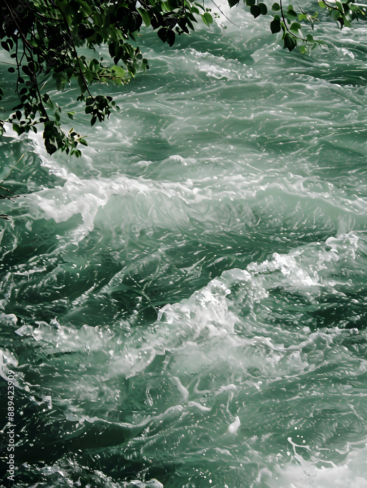 Nature's Force: Rapids in the Wild